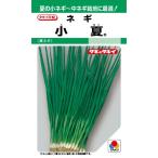 野菜種子 葉ネギ「小夏」 1L（タキイ種苗）【送料込み