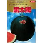  овощи семена чёрная кожа большой шар арбуз [ чёрный солнце ] 50 шарик ( бог рисовое поле . вид сельское хозяйство место )[ включая доставку ].. хочет для черный Thai you чёрная кожа большой шар запад ......... ..