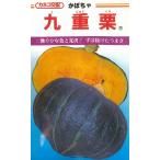  овощи семена тыква [ 9 -слойный каштан ] 100 шарик (ka кошка вид рассада )[ включая доставку ] жребий ....kjuukli юг . тыква Heart форма высшее мука качество 