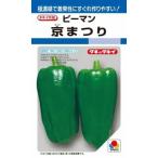  овощи семена зеленый перец [ столица ...] 22 шарик (takii вид рассада )[ включая доставку ]...... both matsuli надеты .. выдерживающий болезнь .