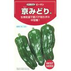  овощи семена зеленый перец [ столица ...] 500 шарик (takii вид рассада )[ включая доставку ]...... both hikari выдерживающий болезнь . минут ветка сила .. много .