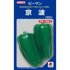 野菜種子 ピーマン「京波」 1,000粒（タキイ種苗）【