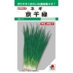 野菜種子 葉ネギ「京千緑」 15ml（約2,000粒）（タキ