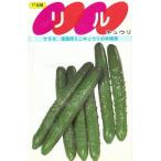  овощи семена Mini огурец [liru] 50 шарик (sakata. tane)[ включая доставку ].. огурец салат ... много .