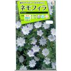  цветок семена немофила [maklata] 1ml(takii вид рассада )[ включая доставку ] цветок. . вид .. лазурит Tang ... из ..ru licca laksaFZZ781 садоводство огород 