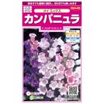 花種子 カンパニュラ「メイ ミックス」 0.05ml（サカタのタネ）【送料込…