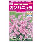  цветок семена campag nyula[mei розовый ] 0.05ml( примерно 40 минут )(sakata. tane)[ включая доставку ] ветряной колокольчик ... rin .. женщина ........ колокольчик крупноцветковый колокольчик колокольчик 