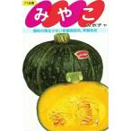  овощи семена тыква [...] 6.5ml( примерно 7 шарик )(sakata. tane)[ включая доставку ]miyako юг . тыква . посадочный . направление . сырой много .. магазин .
