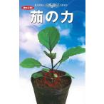 野菜種子 茄子台木「茄の力」 200粒（神田育種農場）