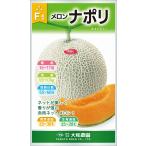 野菜種子 赤肉ネット�