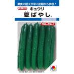  овощи семена огурец [ лето ...] 15 шарик (takii вид рассада )[ включая доставку ]..... лето осень .. огурец много . выдерживающий болезнь .