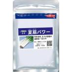 野菜種子 極太一本ねぎ「夏扇パワー」 1dl（サカタの