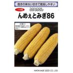 野菜種子 トウモロコシ「んめぇとみぎ86」 200粒（渡辺採種場）【送料込み】 野菜 種 んめえとみぎ86 とうもろこし 高秀品率 家庭菜園 86日タイプ 中早生 WSC51