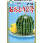  овощи семена желтый мясо маленький шар арбуз [....2 номер ] 7 шарик (to- ho k)[ включая доставку ] oo toli2 номер желтый маленький шар запад .... ..