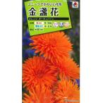  цветок семена золотой . цветок [ orange Poe kyu сосна ] 5ml(takii вид рассада )[ включая доставку ] золотой .. цветок календула ka плита .la Curren te.la pot * Marie Gold FKNA43