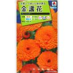  цветок семена золотой . цветок [ orange Star ] 5ml(takii вид рассада )[ включая доставку ] золотой .. цветок календула .....ka плита .la Curren te.la pot * Marie Gold FKN202