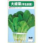 【新潟伝統野菜】野菜種子 小松菜「大崎菜」 20ml（北