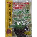  овощи семена арбуз для yuugao шт. дерево [FR- темп производитель ] 400 шарик ( наан to вид рассада )[ включая доставку ] запад .... большой gi.... лицо .... выдерживающий болезнь .
