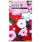 花種子 日日草「パシフィカXP ミックス」 60粒（タキ