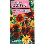  цветок семена подсолнух [pa ключ to Mix ] 40 шарик (takii вид рассада )[ включая доставку ] Mukou .hi вокруг FHM540