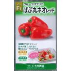  овощи семена фрукты паприка [ Papp круг Neo красный ] 6 шарик ( Yamato сельское хозяйство .)[ включая доставку ] овощи вид .... Neo .... Mini паприка зеленый перец высота сахар раз огород высшее . сырой 