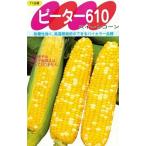 овощи семена сладкий кукуруза [ Peter 610] 200 шарик (sakata. tane)[ включая доставку ] мед van dam кукуруза кукуруза выдерживающий жара .. сырой 