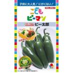  овощи семена ... зеленый перец [pi- Taro ] 27 шарик (takii вид рассада )[ включая доставку ].-...pi- Taro мясо толщина витамин C Caro тонн огород лето осень . земля * посадочная машина * пакет культивирование 