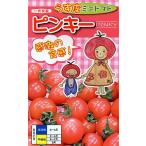  овощи семена легкий кожа мини помидоры [ Pinky ] 15 шарик ( наан to вид рассада )[ включая доставку ]...- перевозка . товар . много . незначительный кожа 