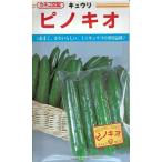  овощи семена Mini огурец [ Pinocchio ] 19 шарик (.. вид рассада )[ включая доставку ].. огурец .. ..