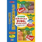  овощи семена арбуз шт. дерево для . лицо [pitato kun ] 40 шарик ( наан to вид рассада )[ включая доставку ].... kun запад .... большой gi...yuugao.... инструкция есть .. контактный .