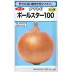  овощи семена большой шар tama лук-батун [ paul (pole) Star 100] 10ml( Watanabe . вид место )[ включая доставку ] лук шар лук-батун шар лук порей лук репчатый средний сырой . магазин .. большой . много . весна ..