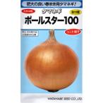 野菜種子 大玉タマネギ「ポールスター100」 ペレット5