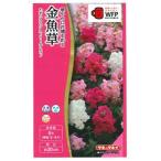 花種子 金魚草「ポップアップ ストリームブレンド」 0