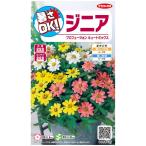花種子 ジニア「プロフュージョン キュートミックス」