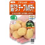 野菜種子 テーブルポテト「プチじゃが」 5粒（サカタ
