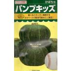  овощи семена Mini тыква [ хлеб p Kids ] 20 шарик (ka кошка вид рассада )[ включая доставку ] юг . тыква немного Space огород высота . количество 
