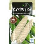 野菜種子 スイートコーン「ピュアホワイトSP」 30ml（雪印種苗）【送料込み】 ピュアホワイトエスピー とうもろこし トウモロコシ 中生 耐倒伏性 抑制栽培可