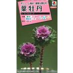 花種子 葉牡丹「ラッフルロ−ズ」 30粒（タキイ種苗）
