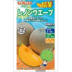  овощи семена красный мясо сеть дыня [ Lennon ue-b] 5 шарик (takii вид рассада )[ включая доставку ] вид Lennon wave ..... фрукты фрукты высота сахар раз высота превосходящий товар показатель выдерживающий болезнь . огород 