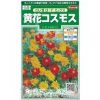  цветок семена желтый цветок Cosmos [... load Mix ] 3ml( примерно 40 минут )(sakata. tane)[ включая доставку ].. load Mix осень Sakura aki The kla большой весна машина . oo Hal автомобиль gik