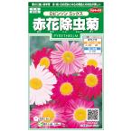 花種子 赤花除虫菊「ロビンソン ミックス」 1ml（約80本分）（サカタのタ…