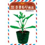  овощи семена запад . специальный шт. дерево [.... юг .] 1dl( примерно 350 шарик )( бог рисовое поле . вид сельское хозяйство место )[ включая доставку ].... тыква тыква ... арбуз ... большой gi