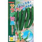 野菜種子 トウガラシ「サラダ甘長」 500粒（ナント種