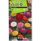 花種子 百日草「サンボウ混合」 2.5ml（約60本分）（