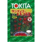  овощи семена мини помидоры [ солнечный Cherry extra ] 20 шарик (tokita вид рассада )[ включая доставку ] san ...-........ высокое качество много . годовщина каждый произведение type годовщина культивирование выдерживающий болезнь .