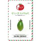 野菜種子 マウロの地中海トマト「サリーナ エメラルド
