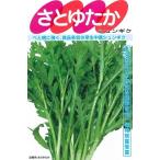 野菜種子 中葉春菊「さとゆたか」 30ml（サカタのタネ