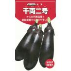野菜種子 ナス「千両二号」 200粒（タキイ種苗）【送