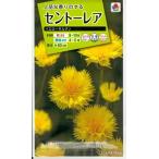 花種子 セントーレア「イエローサルタン」 2ml (タキイ種苗)【送料込み】…