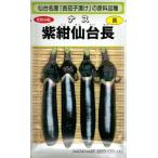 [ Miyagi префектура сэндай название производство ] овощи семена nas[ фиолетовый темно-синий сэндай длина ] 0.4ml( Watanabe . вид место )[ включая доставку ] длина .. длина nas......... баклажан .. предмет 